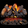 Duluth Forge Vented Natural Gas Fireplace Log Set - 24 In., 55,000 Btu, Match FNVL24-1
